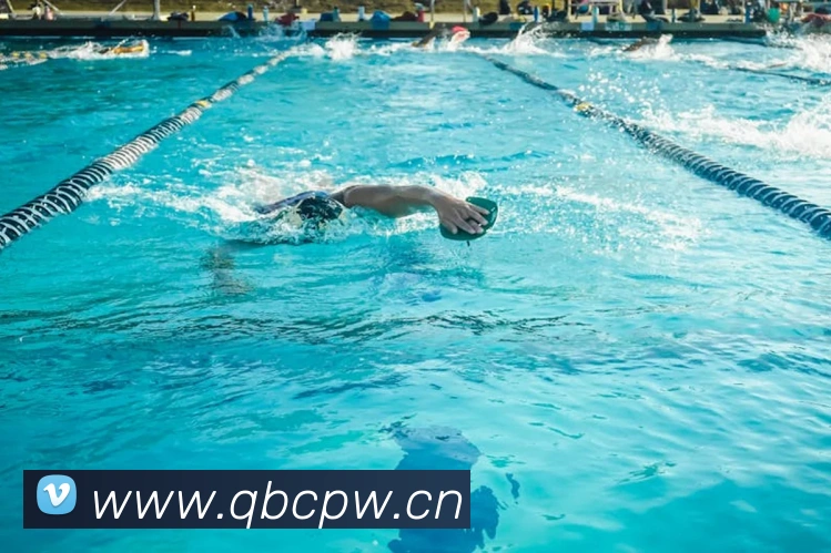 人人体育在线免费直播发展历程